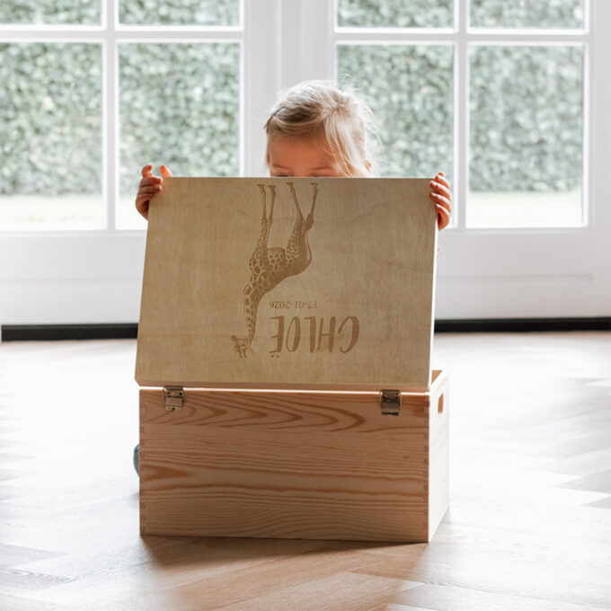 memorybox bovenaf giraffe