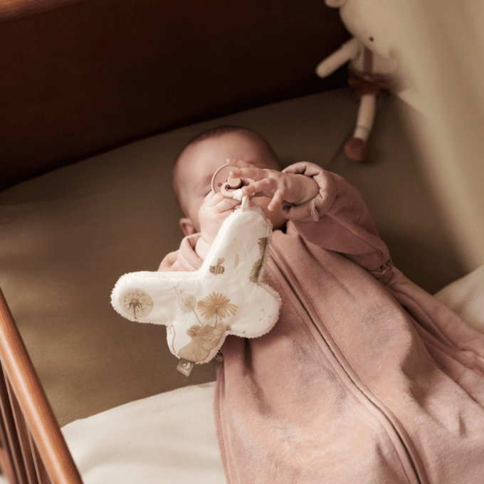 Jollein Speendoekje Dreamy Mouse