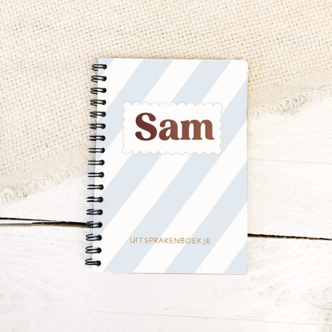 Uitsprakenboekje blauw sam pastel