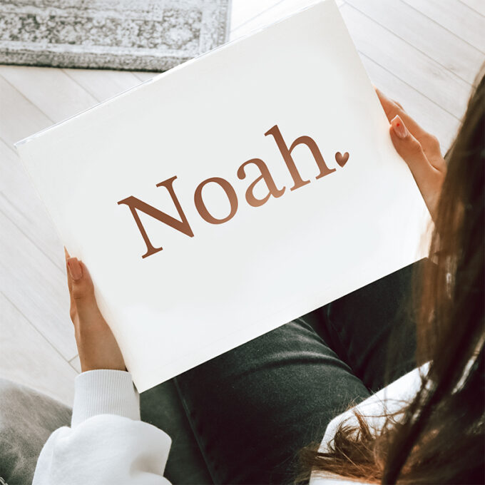 witte box noah