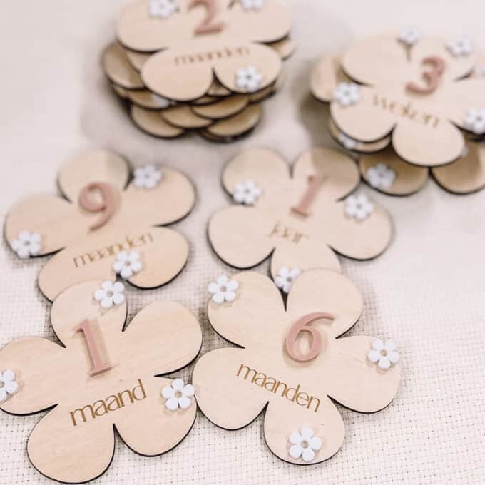 Mijlpaalschijven sweet pink close up