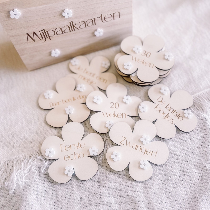 Mijlpaalkaarten zwangerschap