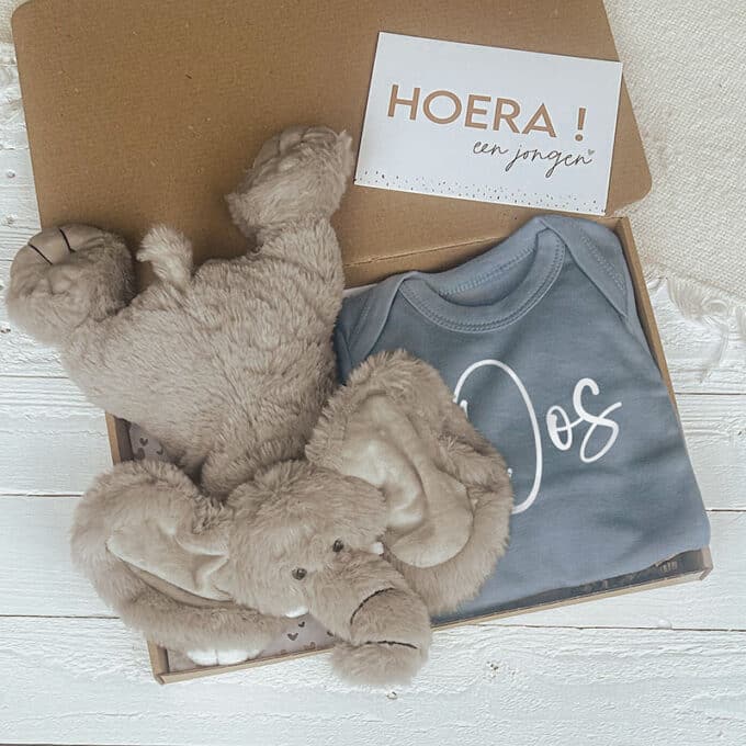 brievenbus cadeau blauw - romper knuffel olifant