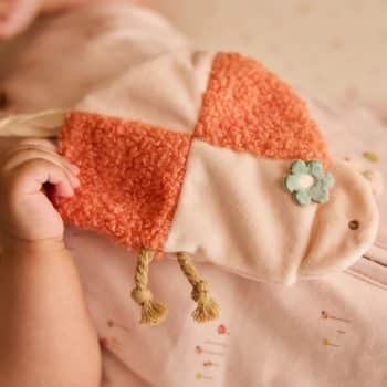 Speendoekje pretty picnic ladybug