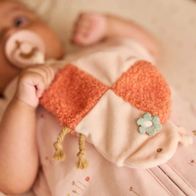 Speendoekje pretty picnic ladybug