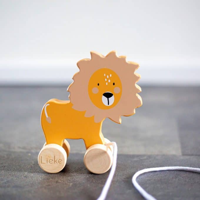 Tryco | Houten Leeuw