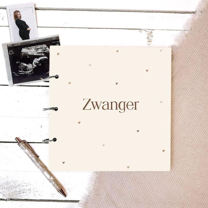 Zwangerschapsboek - tiny hearts
