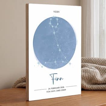geboorte poster sterrenbeeld vissen blauw