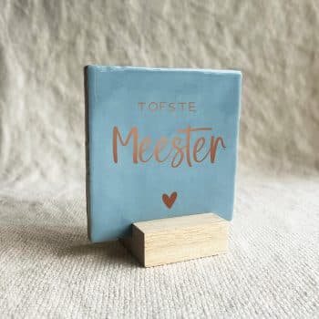 tegel tofste meester - blauw