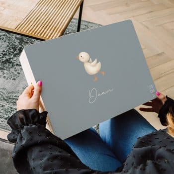 Memory box gansje blauw